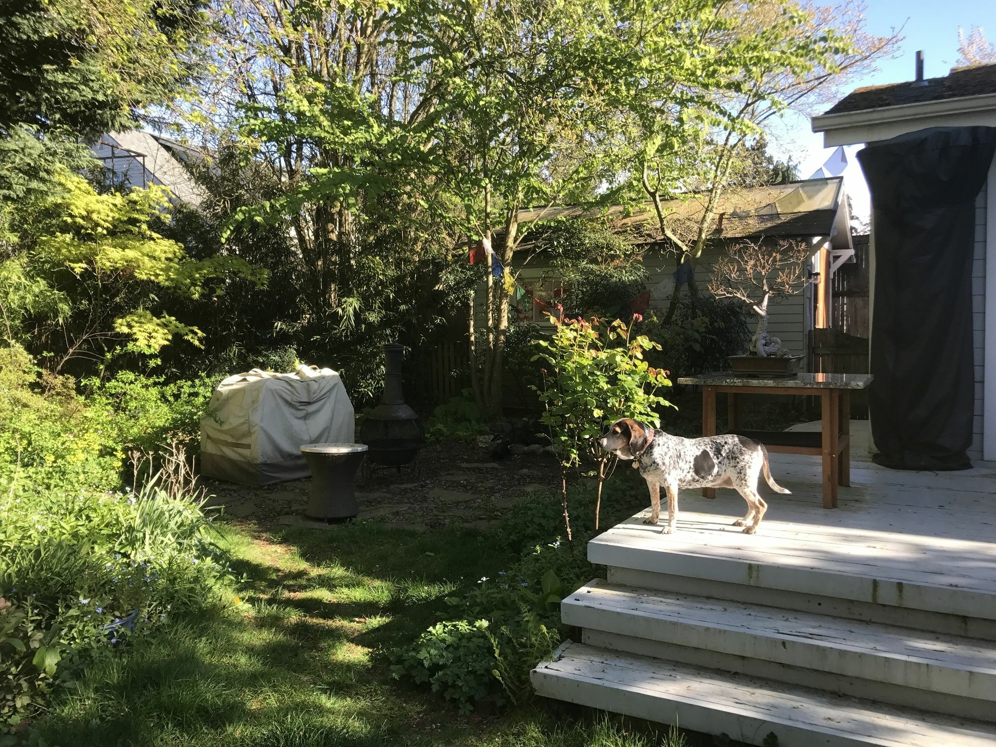 Zen Retreat - Private Home - Very Unique Seattle Esterno foto
